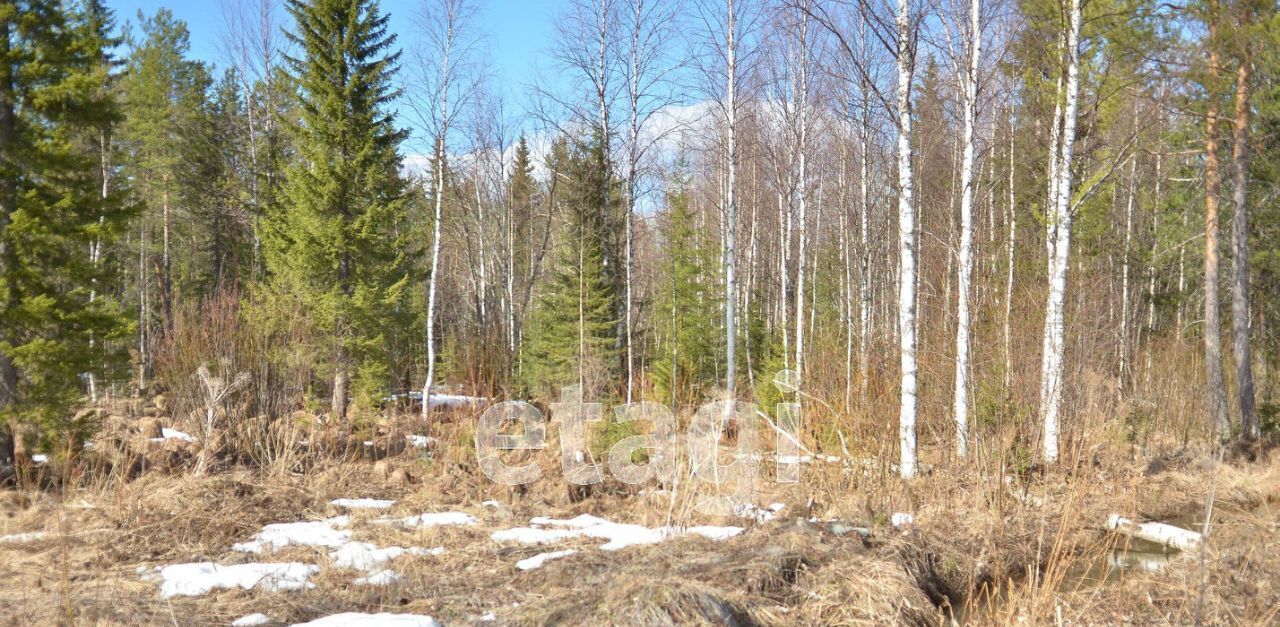 земля г Ухта Дальний ул Портовая Аэрофлот СНТ фото 13
