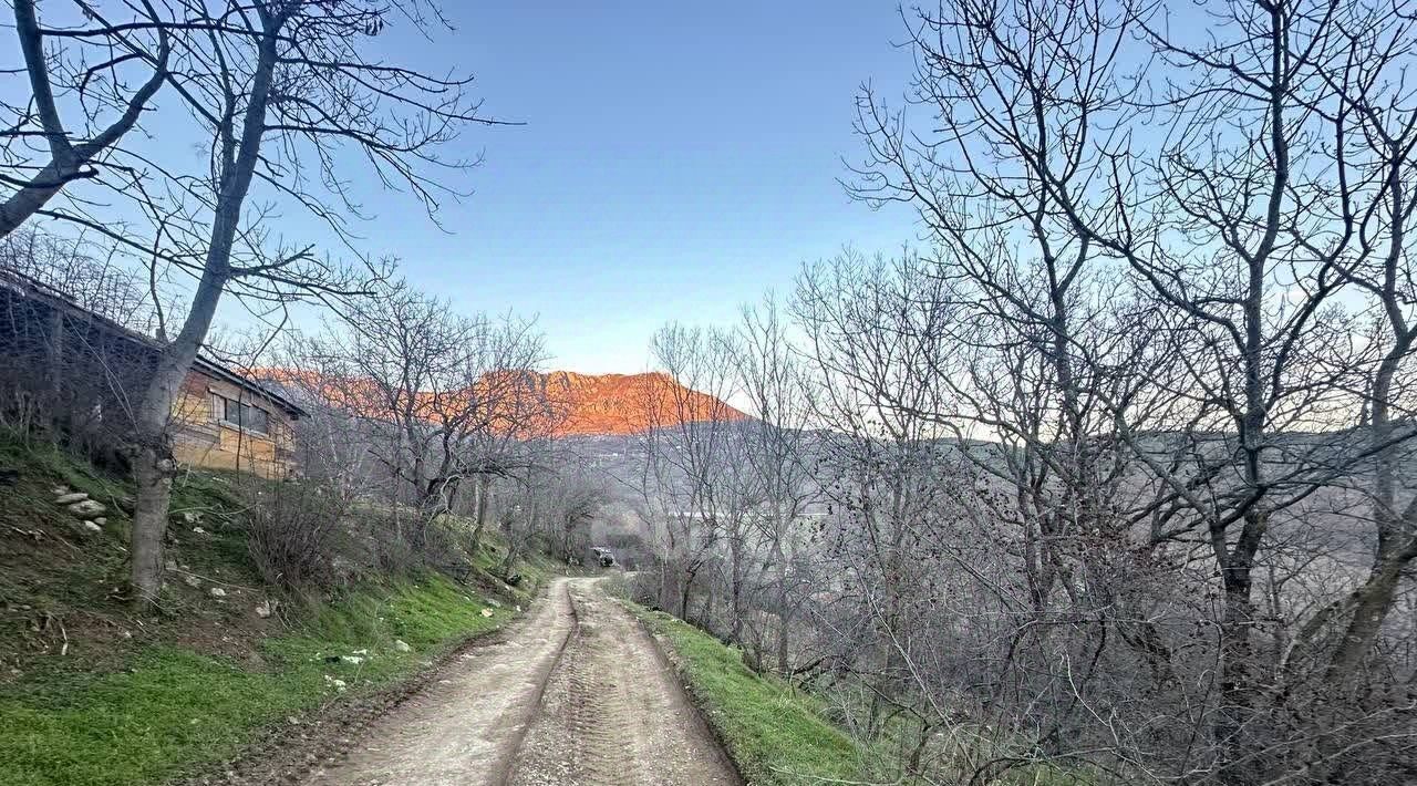 земля г Алушта с Верхняя Кутузовка фото 8