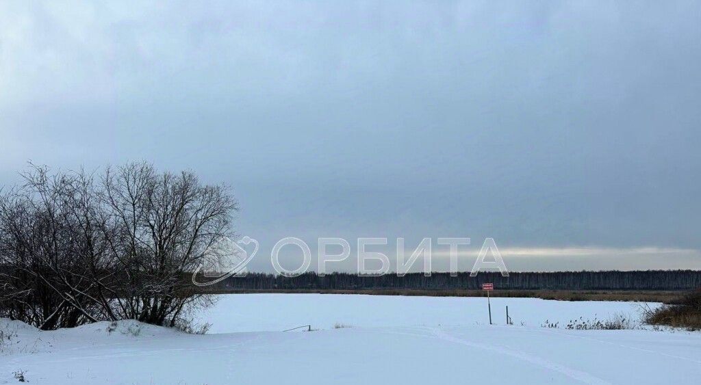 земля г Тюмень п Березняковский р-н Центральный Южный ул Сладковская фото 3
