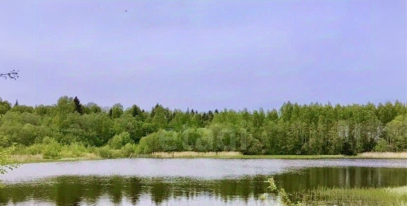 земля р-н Красносельский с Густомесово Сидоровское с пос фото 2