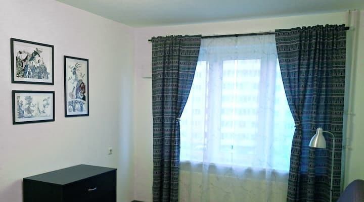 квартира г Санкт-Петербург пр-кт Космонавтов 65к/9 Звездная фото 2
