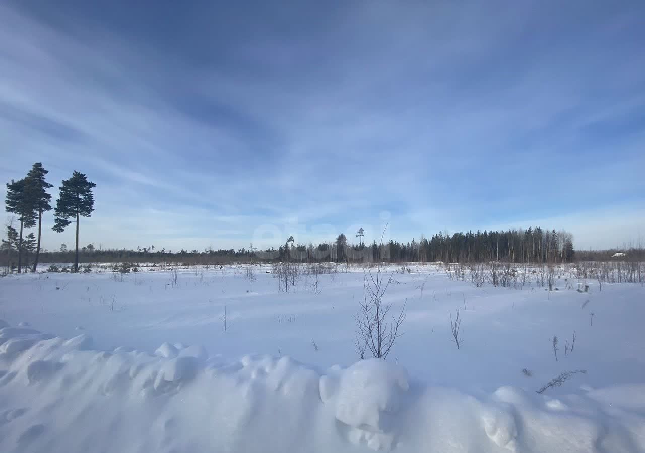 земля г Нижневартовск снт Дубрава Тюменская обл. фото 5