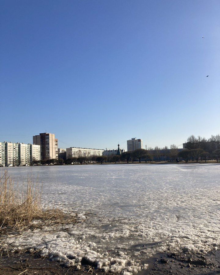 квартира г Санкт-Петербург метро Гражданский Проспект ул Демьяна Бедного 16к/2 фото 18
