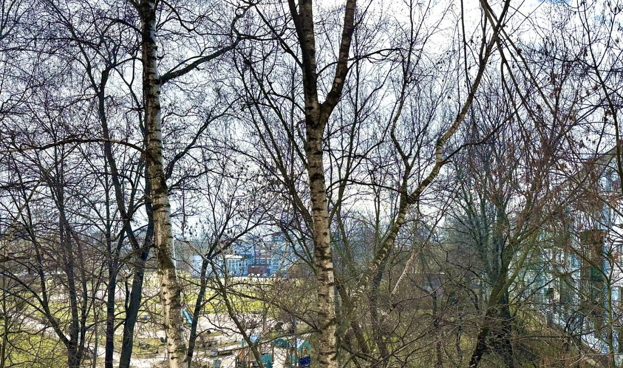 квартира г Санкт-Петербург метро Парк Победы ул Бассейная 5 фото 8