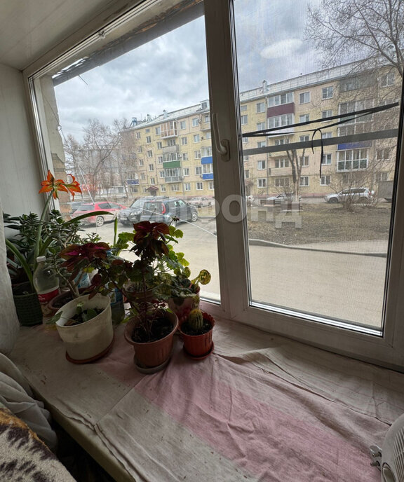 квартира г Белово пер Цинкзаводской 3 фото 12