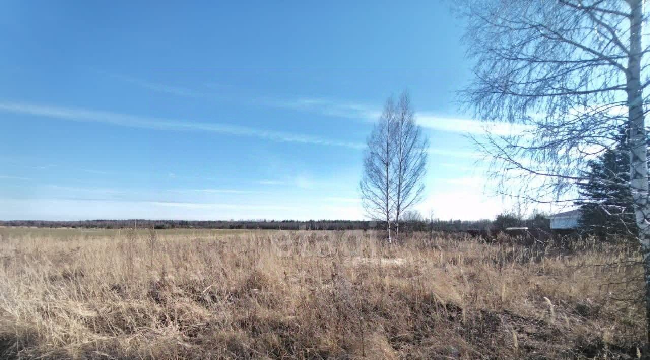 земля р-н Меленковский д Папулино ул Новая фото 1