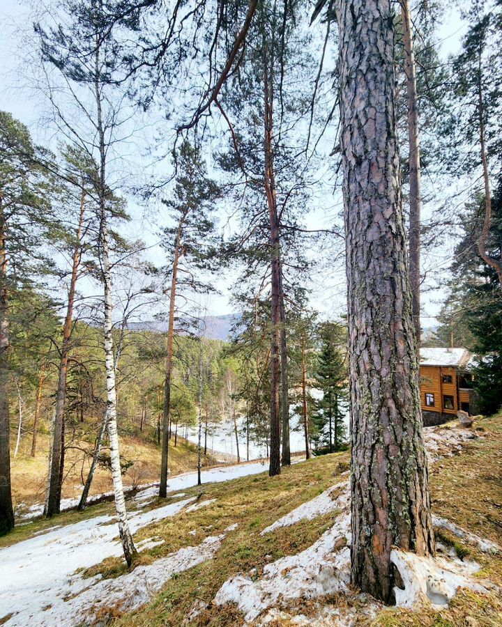 земля г Дивногорск КП Море Удачи фото 1