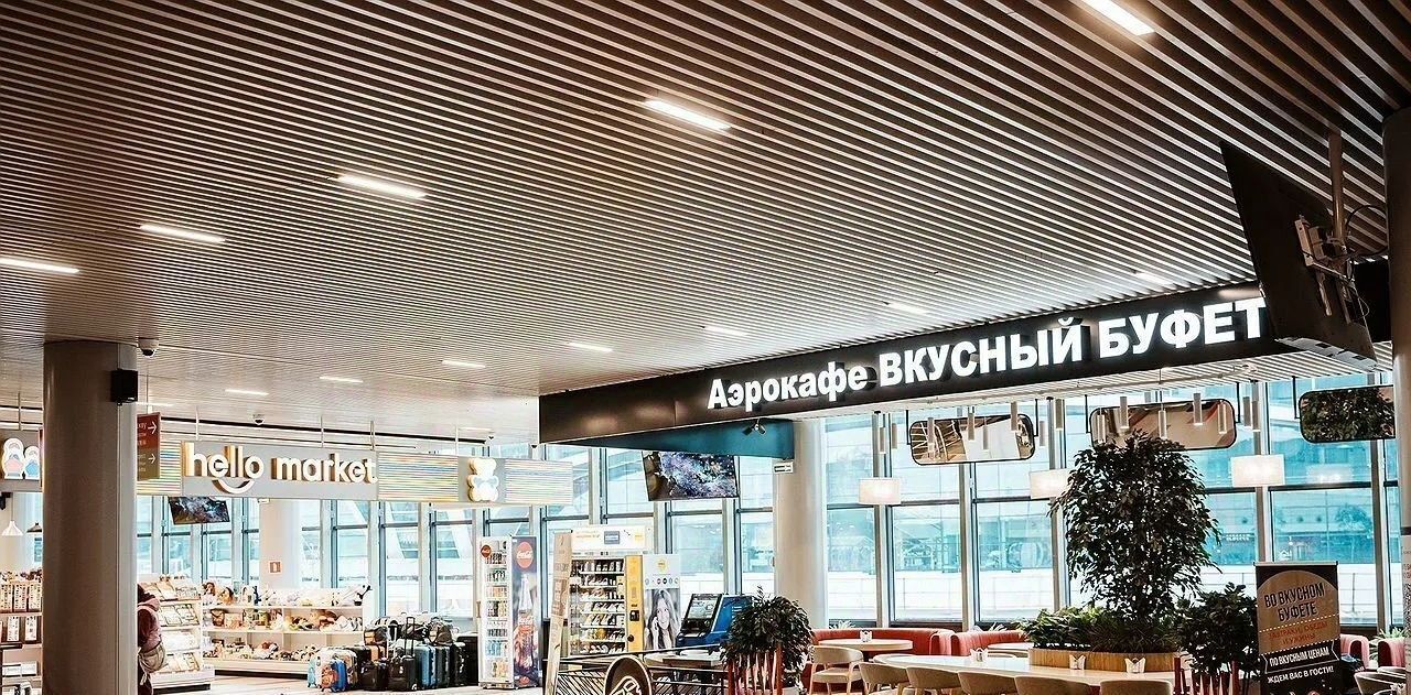 свободного назначения г Домодедово аэропорт Домодедово имени М. В. Ломоносова тер., с 53, Домодедовская фото 4