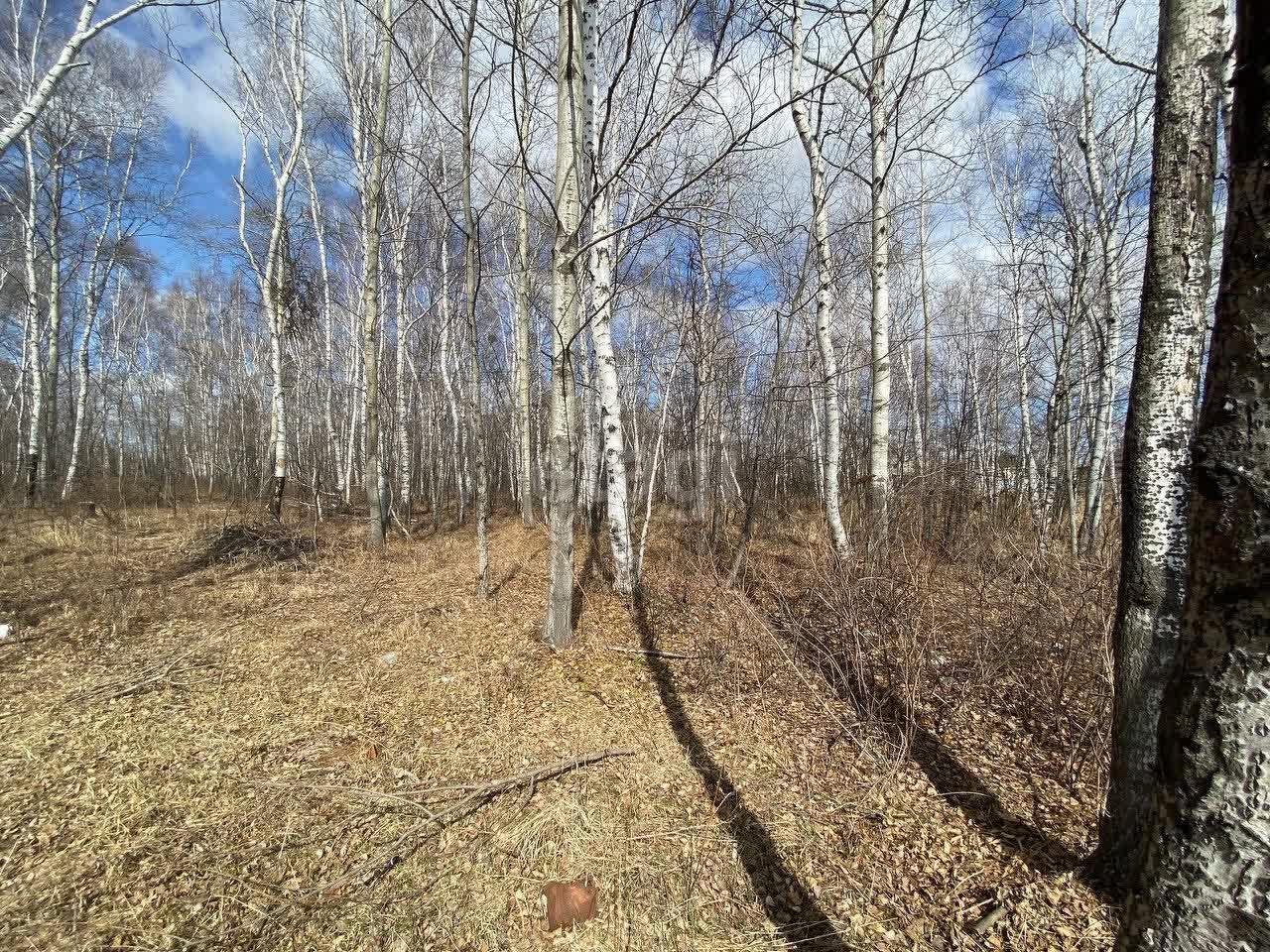 земля г Комсомольск-на-Амуре р-н Новый ул Школьная 41/1 сельское поселение Село Новый Мир, Мир, Комсомольский район фото 3