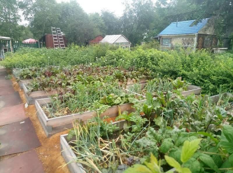 дом г Комсомольск-на-Амуре ул Лесная СДТ АО АСЗ, Комсомольский район фото 14