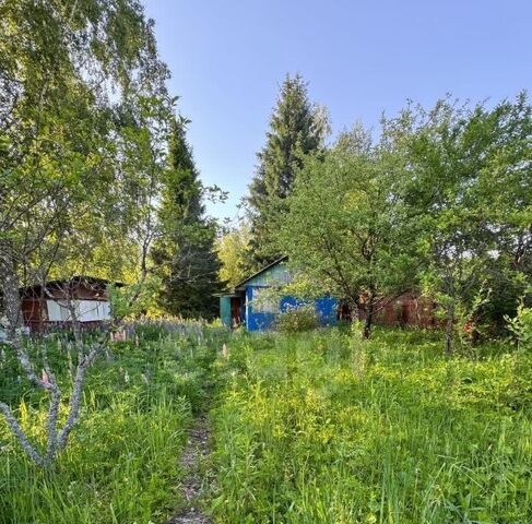 с пос, 13, Учитель СНТ фото