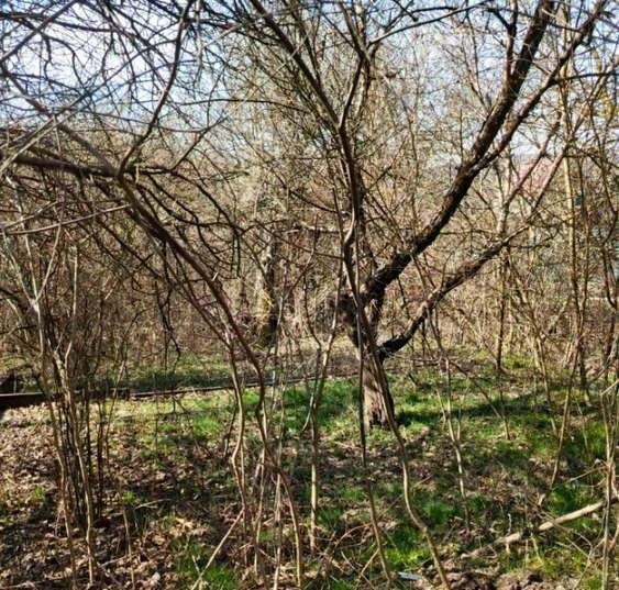 земля г Новороссийск п Верхнебаканский снт Баканское ул Имени Лизы Барской 41 СОТ фото 3