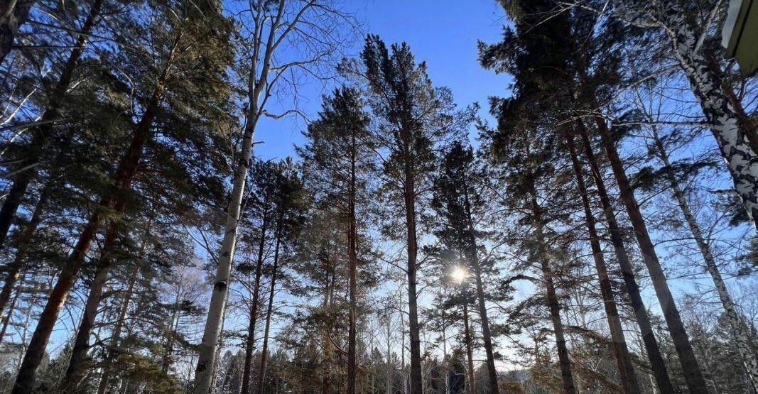 земля г Ангарск фото 2