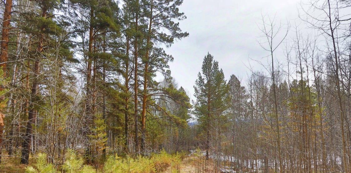 земля г Ангарск фото 17