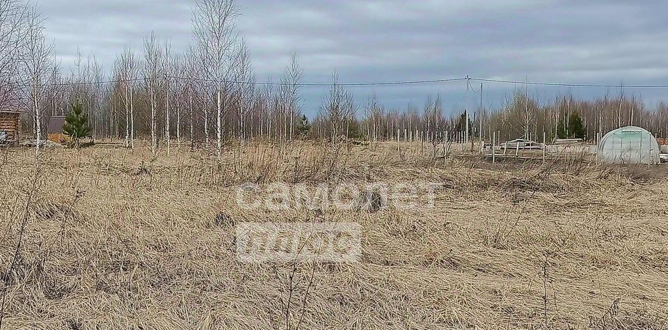 земля г Йошкар-Ола д Шоя-Кузнецово ул Изумрудная фото 1