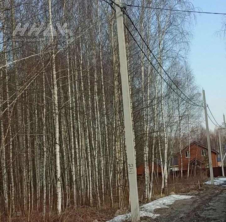 земля г Нижний Новгород п Березовая Пойма ул Механизаторов Бурнаковская фото 3