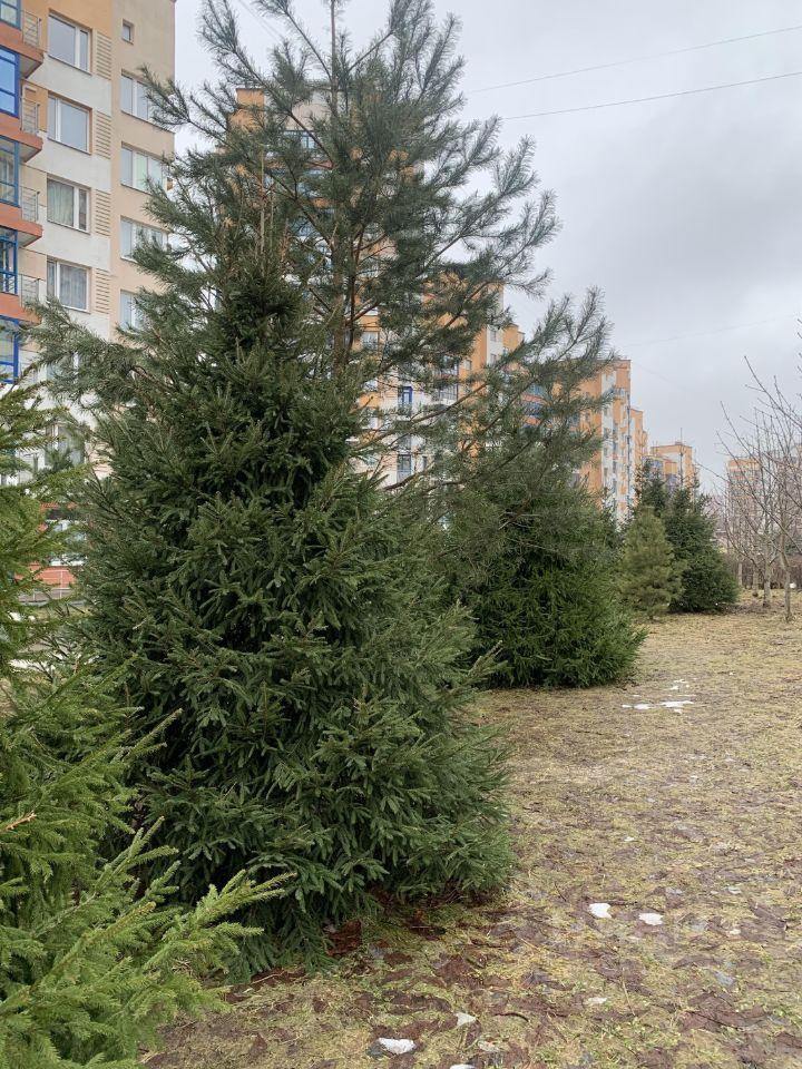 квартира г Зеленоград 23-й микрорайон ЗелАО Крюково к 2304, Московская область, г Пушкино, Зеленоград фото 2
