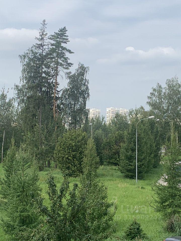 квартира г Зеленоград 23-й микрорайон ЗелАО Крюково к 2304, Московская область, г Пушкино, Зеленоград фото 17