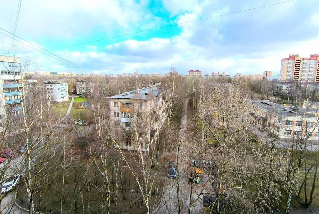 квартира г Санкт-Петербург метро Улица Дыбенко ул Антонова-Овсеенко 13к/1 фото 20