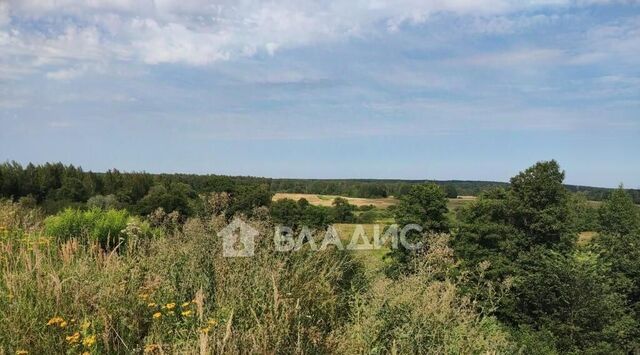 р-н Октябрьский Лунево ул Шороновка 29 фото