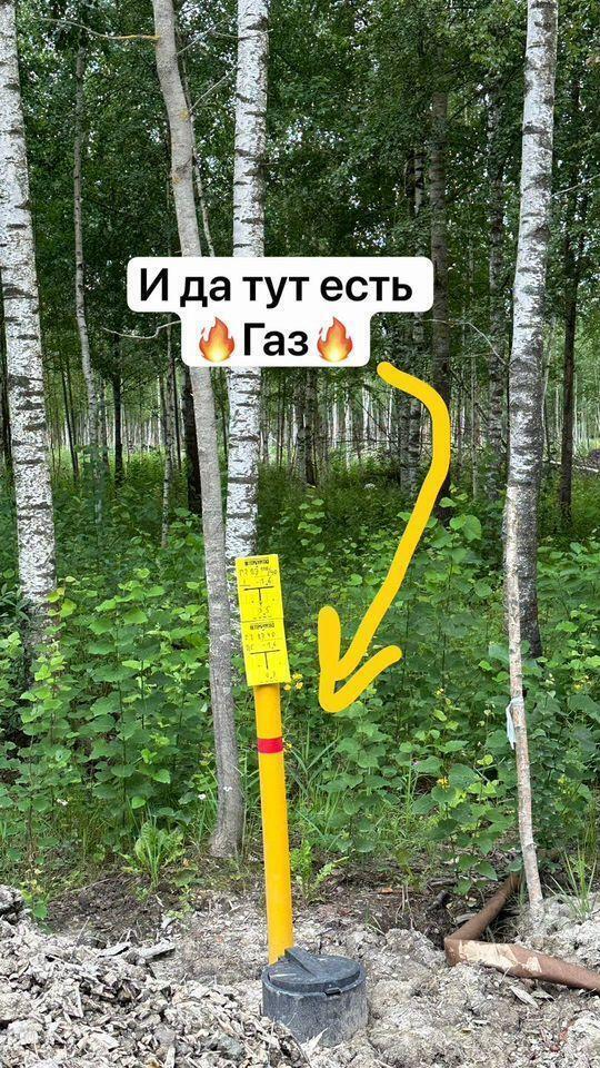 земля г Павловск снт тер.Павловское-1 14я р-н Пушкинский линия, Ленинградская область фото 4