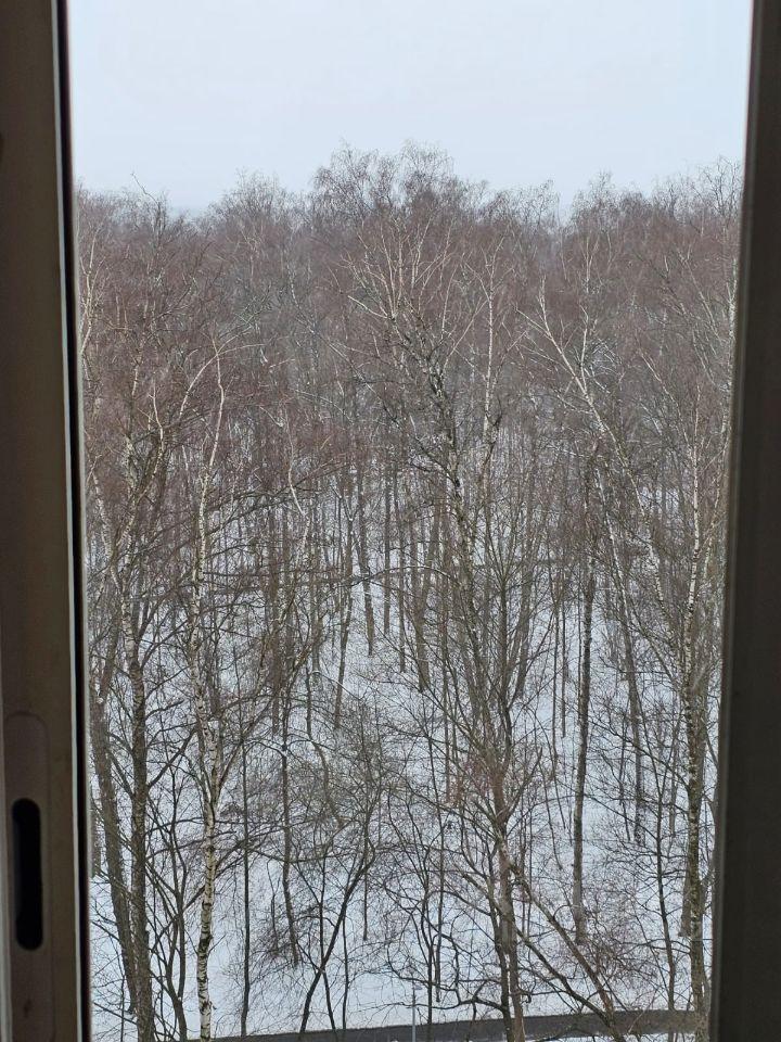 квартира городской округ Зарайск п Масловский 3-й микрорайон, 4, Москва, Московский фото 3
