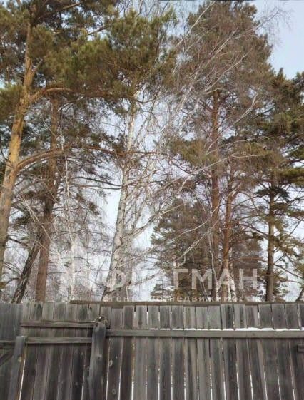 земля г Усолье-Сибирское ул Сиреневая фото 1