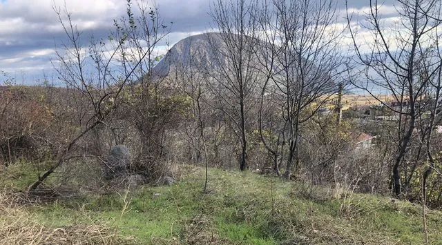 земля г Ялта пгт Краснокаменка ул им Исмаила Гаспринского фото 1