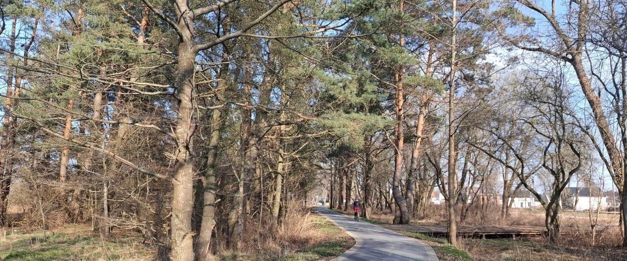 квартира р-н Зеленоградский г Зеленоградск п Малиновка фото 19