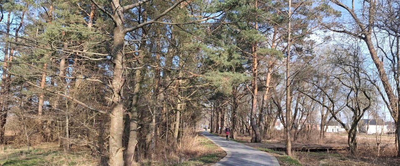 квартира р-н Зеленоградский г Зеленоградск п Малиновка фото 19
