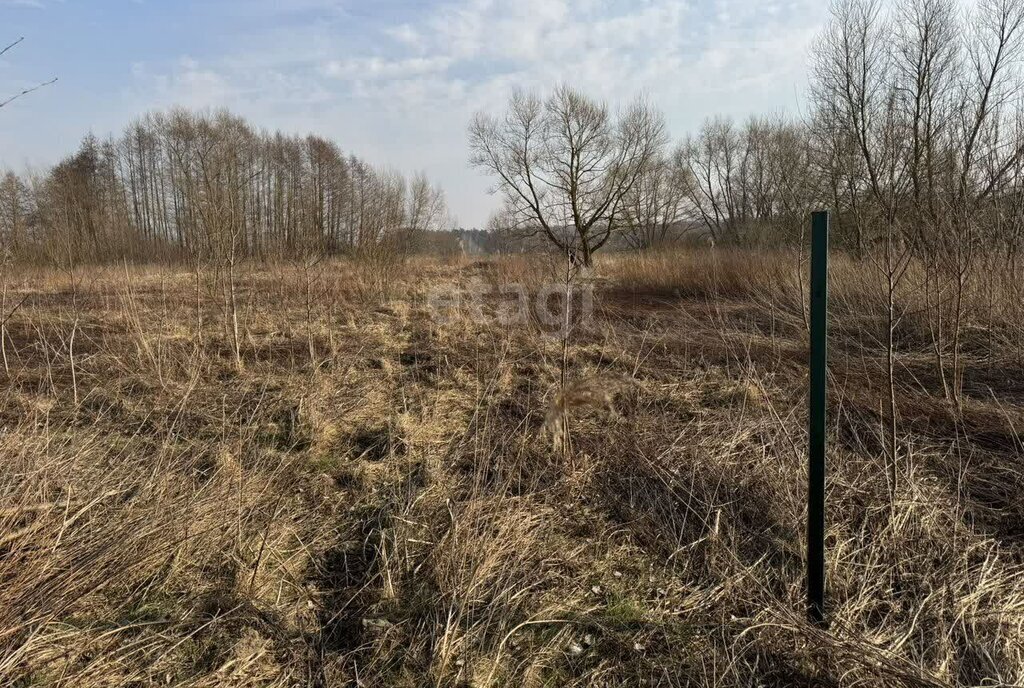земля г Светлый п Песчаное Светловский городской округ фото 3