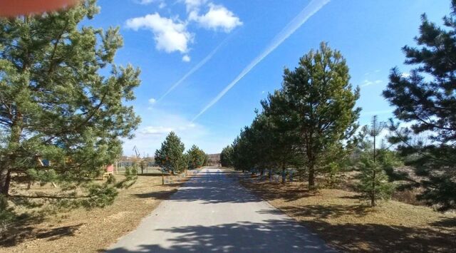 днп Чкаловская Ривьера ул Южная Чкаловск городской округ фото