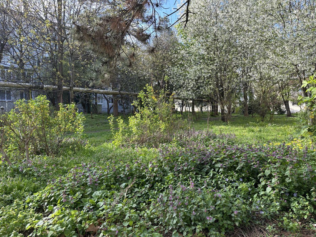 квартира г Краснодар р-н Карасунский ул им. Мачуги В.Н. 80/3 фото 10