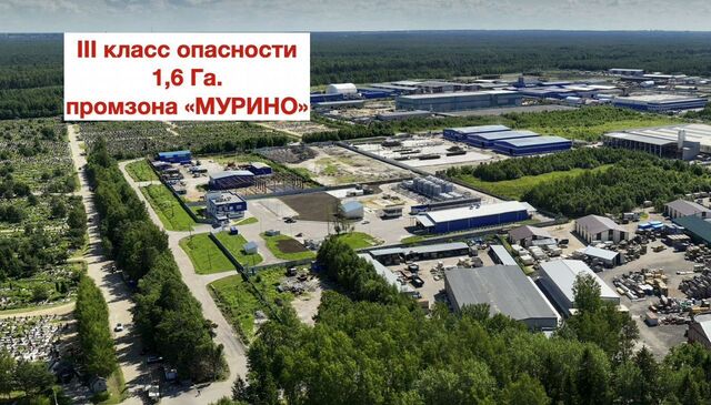 Дорога жизни, 3 км, Муринское городское поселение фото