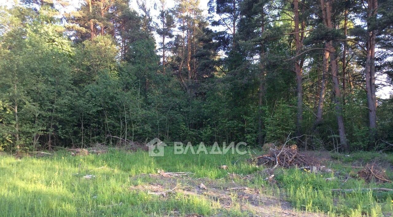 земля г Сортавала п Рантуэ Сортавальский муниципальный округ фото 5