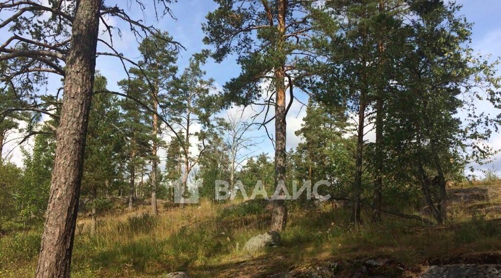 земля г Сортавала п Рантуэ Сортавальский муниципальный округ фото 6