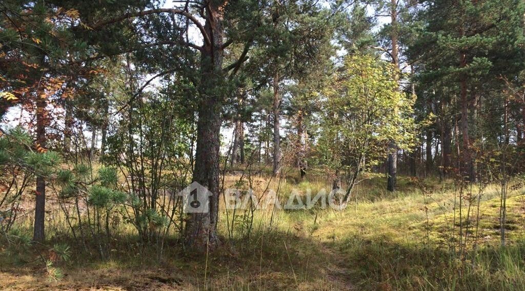 земля г Сортавала п Рантуэ Сортавальский муниципальный округ фото 7