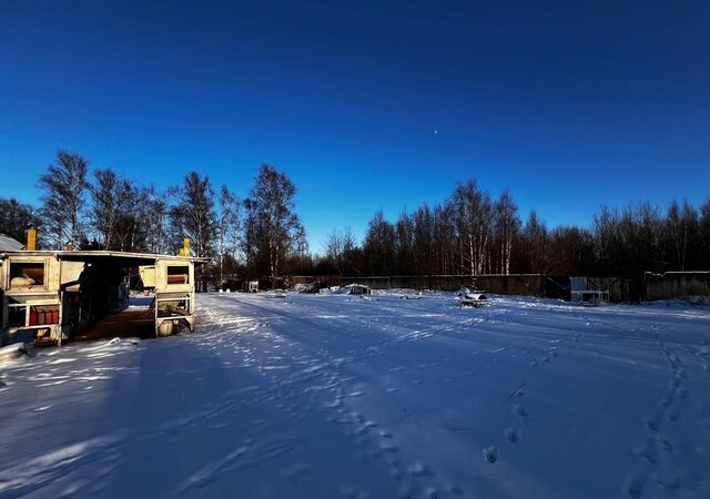 офис р-н Красносельский Земская ул., 98 фото