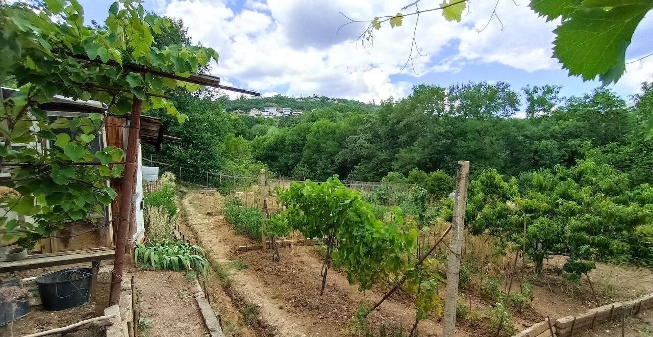 земля г Алушта с Нижняя Кутузовка ул Троицкая фото 12