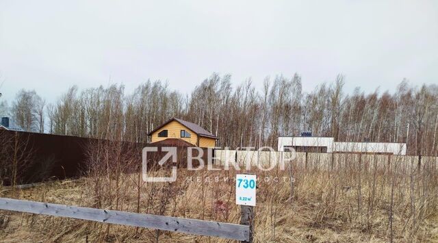 п Козелино ул Коминтерна фото