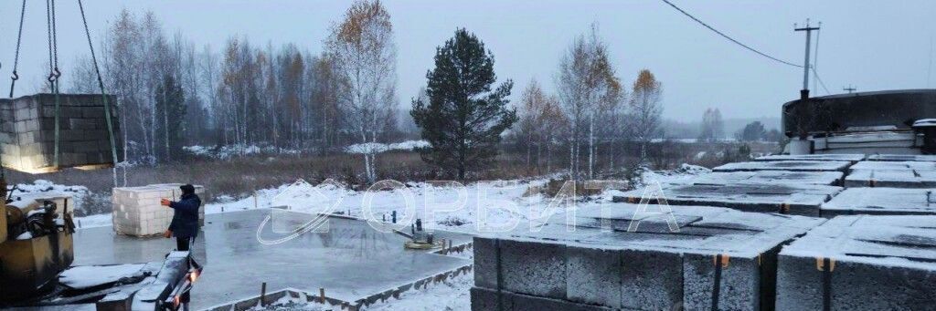 земля г Тюмень р-н Центральный снт Царево ул Тальниковая фото 8