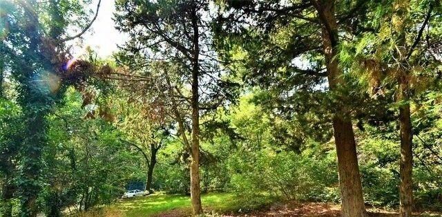 земля г Ялта пгт Кореиз спуск Парковый фото 3