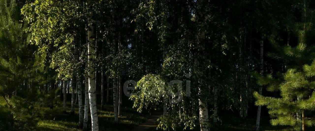 дом г Воскресенск снт Земляне 3, Волоколамский муниципальный округ фото 40