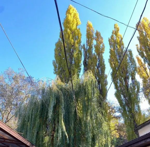 дом г Кисловодск ул Березовская 28 фото 11