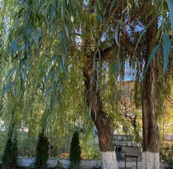 дом г Кисловодск ул Березовская 28 фото 12