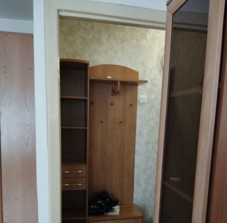 квартира г Красноярск р-н Кировский ул Академика Вавилова 102 фото 12