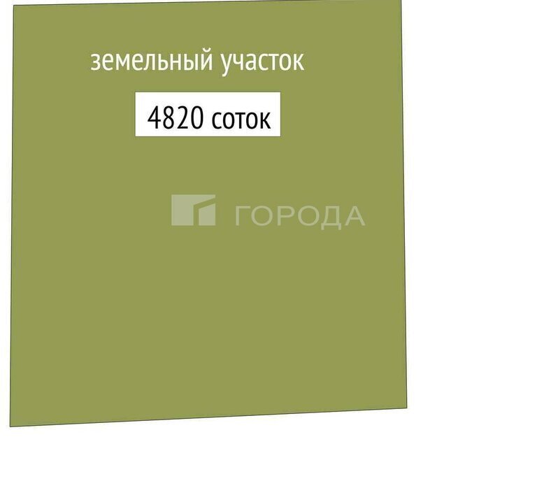 земля г Новосибирск р-н Центральный Площадь Ленина фото 8