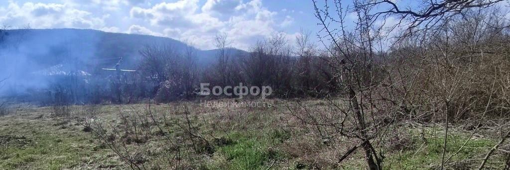 земля г Судак с Грушевка ул Зеленая фото 9