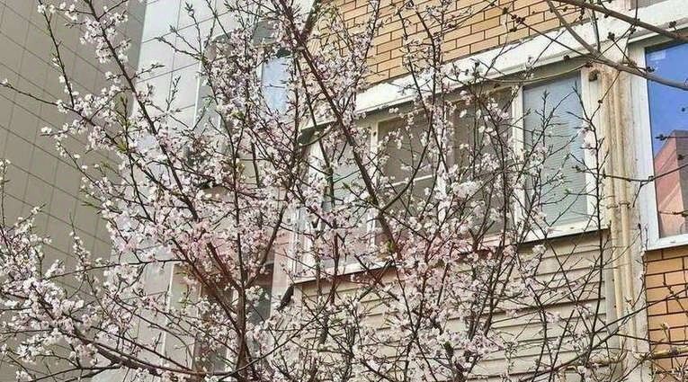 квартира г Астрахань р-н Ленинский ул Бабаевского 1к/3 фото 22