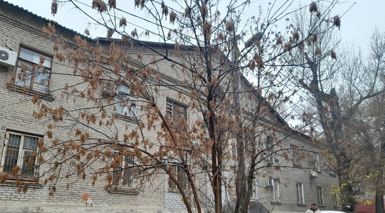 свободного назначения г Волгоград р-н Тракторозаводский Замечётинский ул Брасовская 13 фото 2